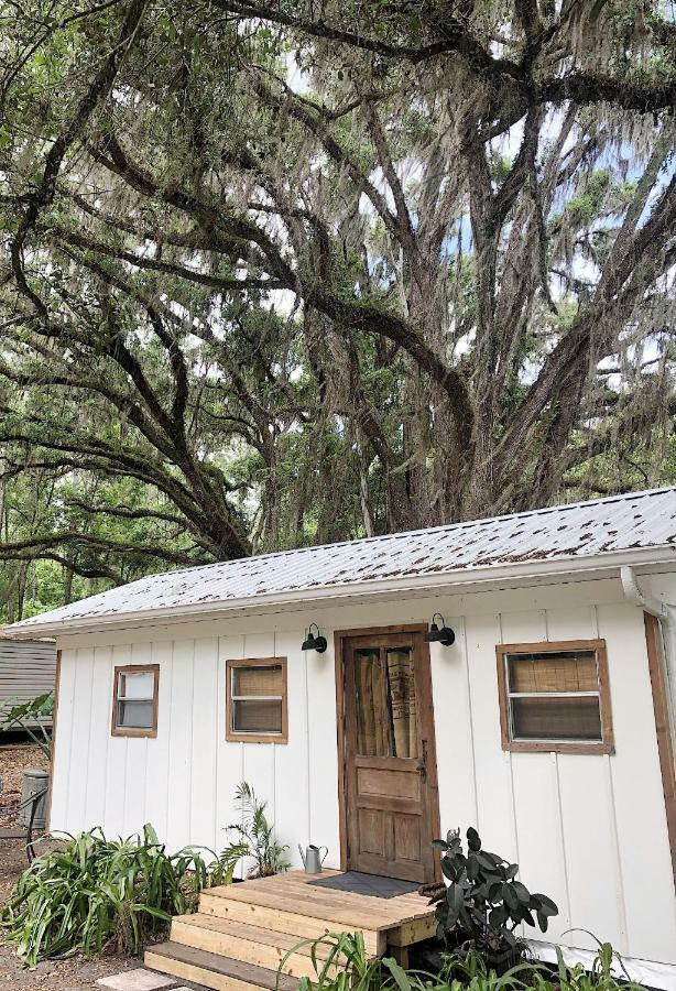 The Harmony Oaks Homestead Masaryktown 외부 사진