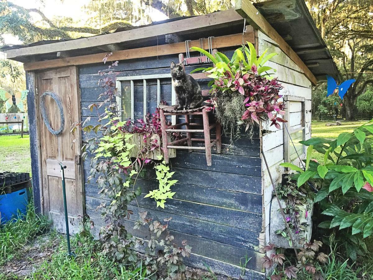 The Harmony Oaks Homestead Masaryktown 외부 사진